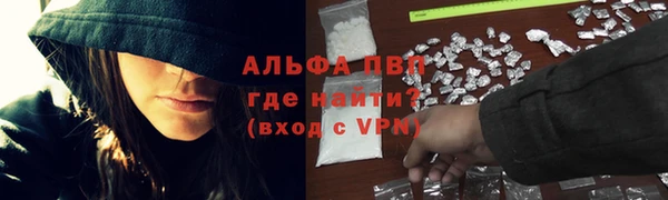 apvp Кукмор