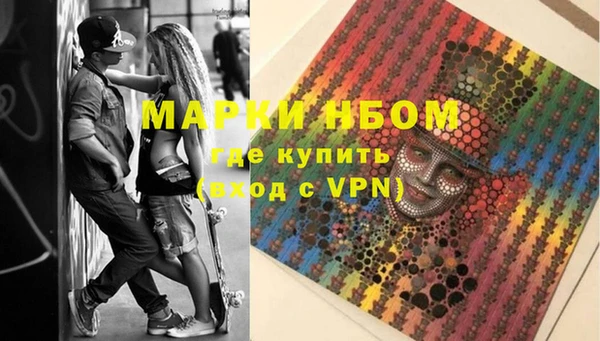 apvp Кукмор