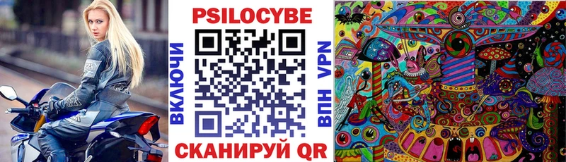 Псилоцибиновые грибы GOLDEN TEACHER  Купить где  Зерноград 