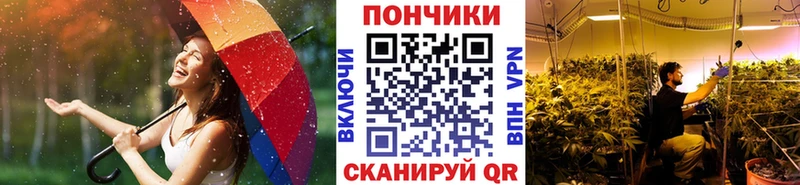 Бошки марихуана план Зерноград